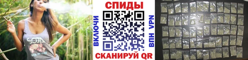 Бутират буратино  Черняховск 