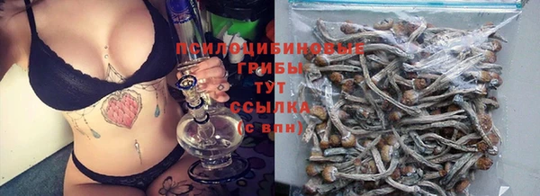гидра Волосово