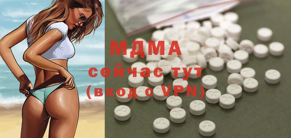 спиды Вяземский