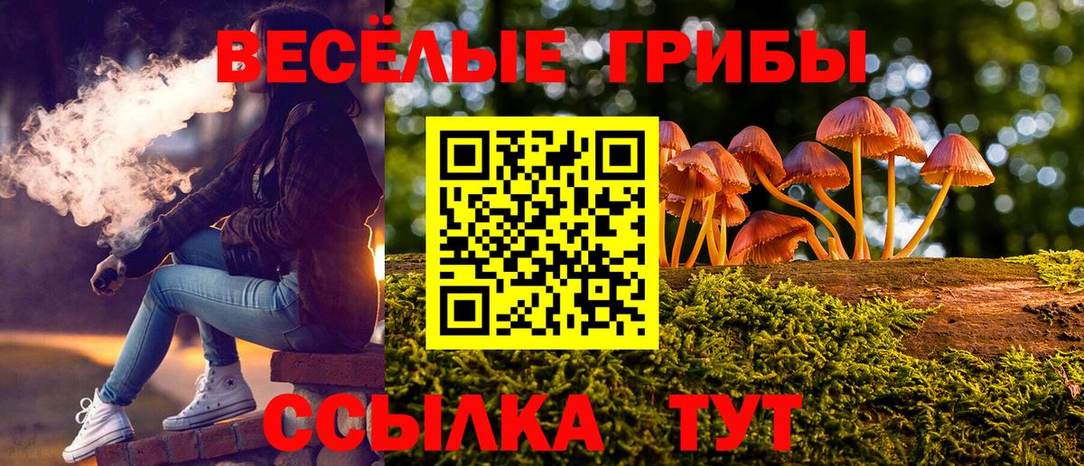 сколько стоит  Псилоцибиновые грибы мухоморы  Вход с VPN  Черняховск 