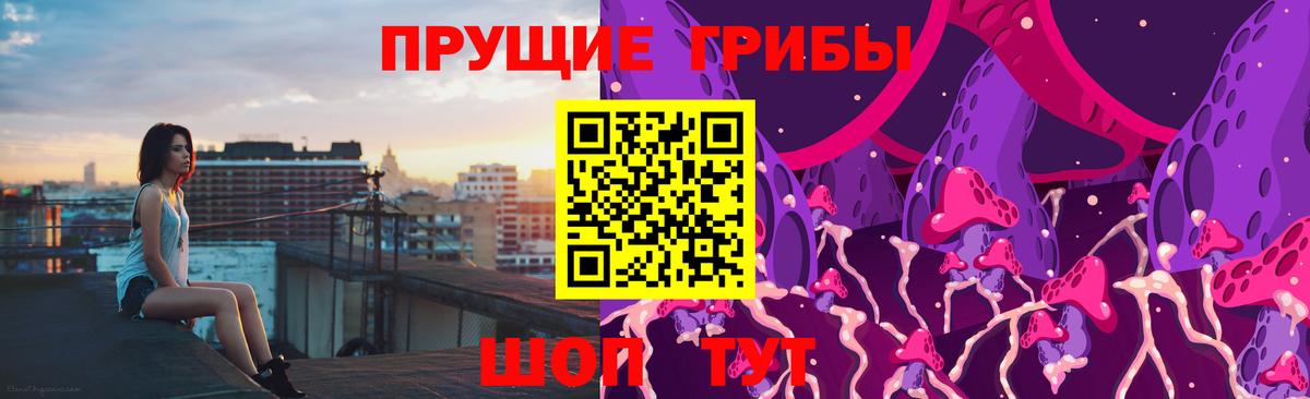 Псилоцибиновые грибы ЛСД Черняховск